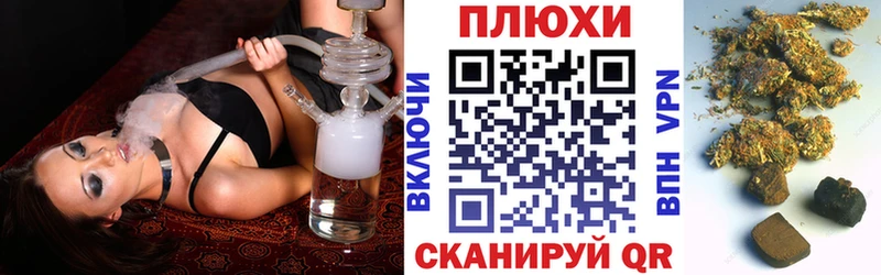 магазин Бежецк блэк спрут зеркало ГАШ Изолятор