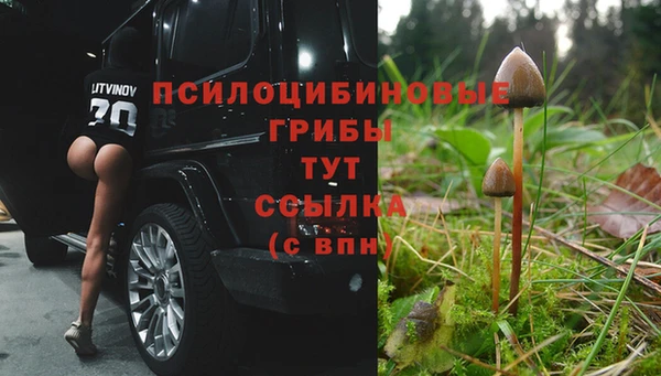 тгк Арсеньев